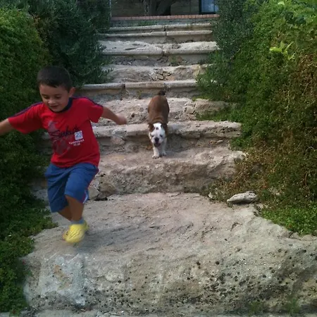Cavallucci B&B *